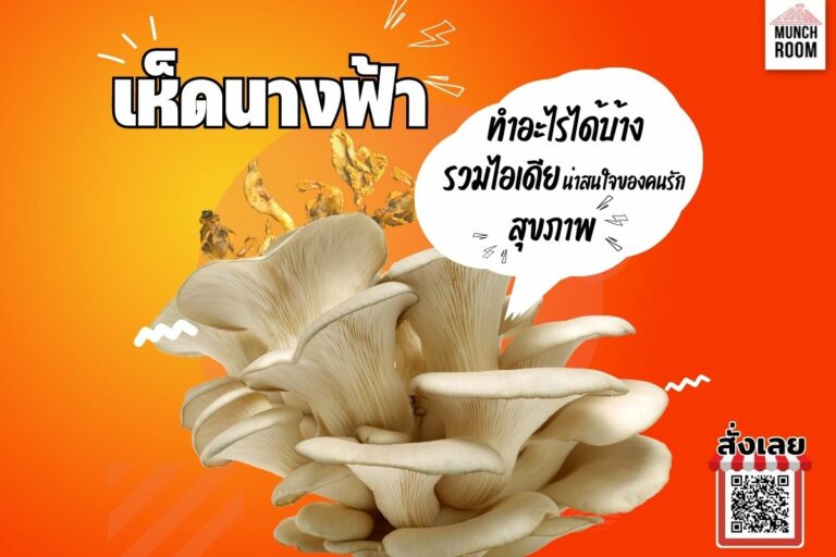 เห็ดนางฟ้าทําอะไรได้บ้าง รวมไอเดียน่าสนใจของคนรักสุขภาพ-Munchroom (2)