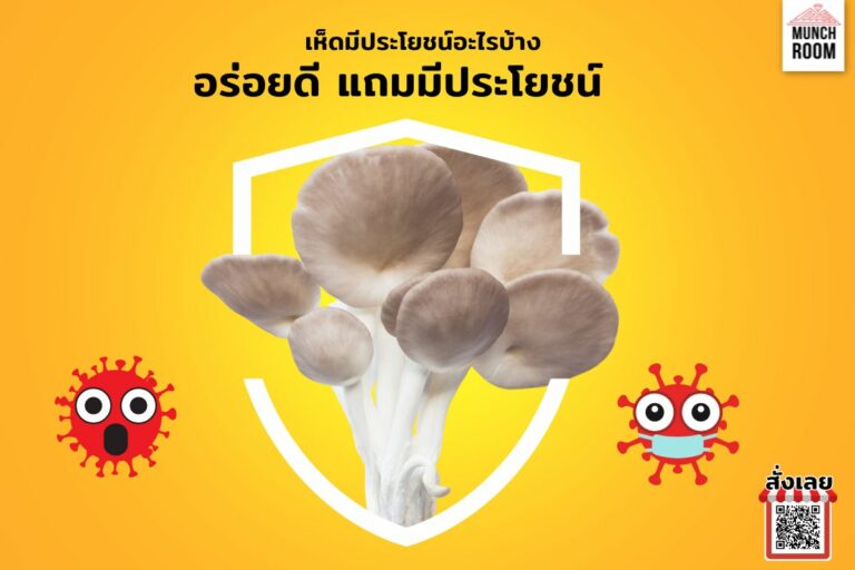 เห็ดมีประโยชน์อะไรบ้าง เปิดสารอาหารจากเห็ด อร่อยดี แถมมีประโยชน์