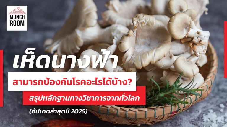 เห็ดนางฟ้า สามารถป้องกันโรคอะไรได้บ้าง? สรุปหลักฐานทางวิชาการจากทั่วโลก (อัปเดตล่าสุดปี 2025)