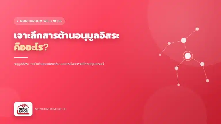 เจาะลึกสารต้านอนุมูลอิสระ คืออะไร?